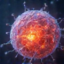 Obraz związany z odpornością i zdrowiem komórkowym, naturalne elementy.